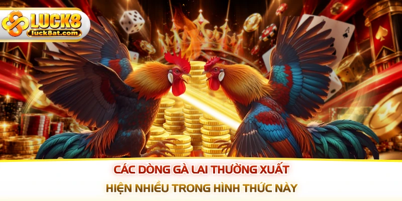 Các dòng gà lai thường xuất hiện nhiều trong hình thức này