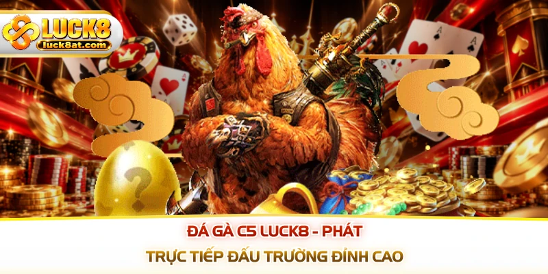 Đá Gà C5 LUCK8 - Phát Trực Tiếp Đấu Trường Đỉnh Cao