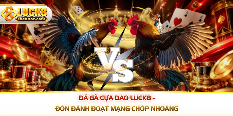 Đá Gà Cựa Dao LUCK8 - Đòn Đánh Đoạt Mạng Chớp Nhoáng