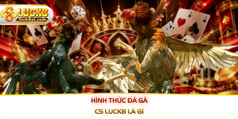 Hình thức đá gà C5 LUCK8 là gì