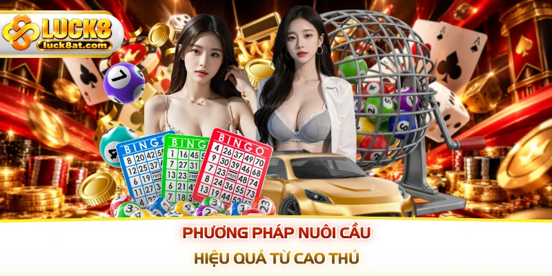 Phương pháp nuôi cầu hiệu quả từ cao thủ