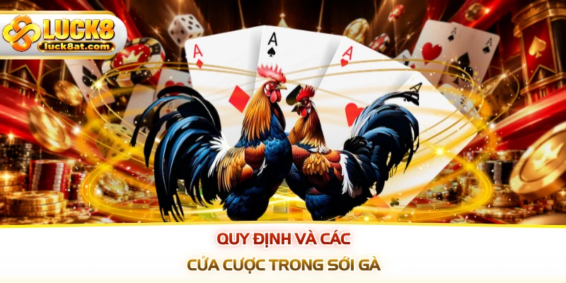 Quy định và các cửa cược trong sới gà