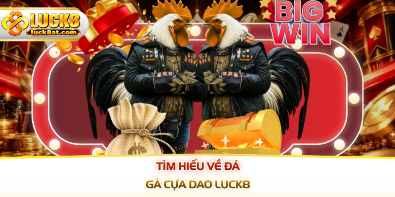 Tìm hiểu về đá gà cựa dao LUCK8